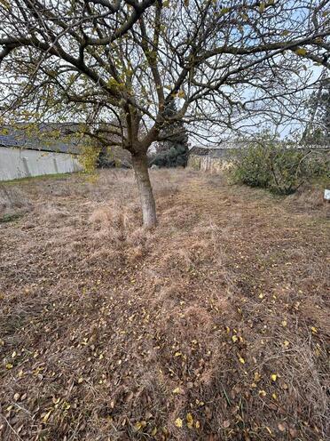 Satılır  torpaq 11.5 sot, Albalılıq q., photo 5 from 11