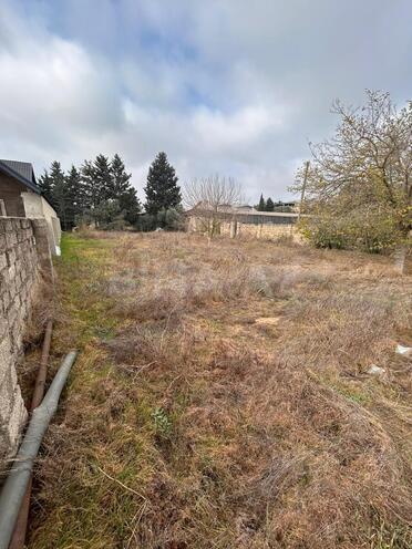 Satılır  torpaq 11.5 sot, Albalılıq q., photo 4 from 11