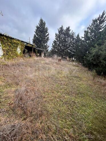 Satılır  torpaq 11.5 sot, Albalılıq q., photo 6 from 11