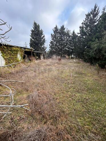 Satılır  torpaq 11.5 sot, Albalılıq q., photo 7 from 11