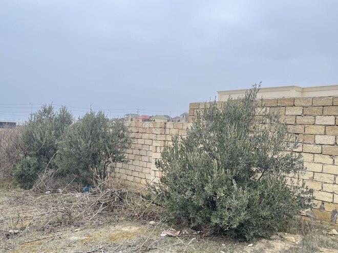 Продаётся  участок 10 сот, пос. Пиршаги, photo 6 from 8