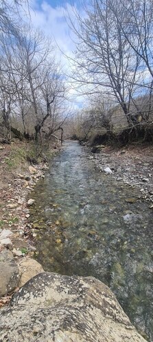 Satılır  torpaq 4.5 sot, photo 4 from 6