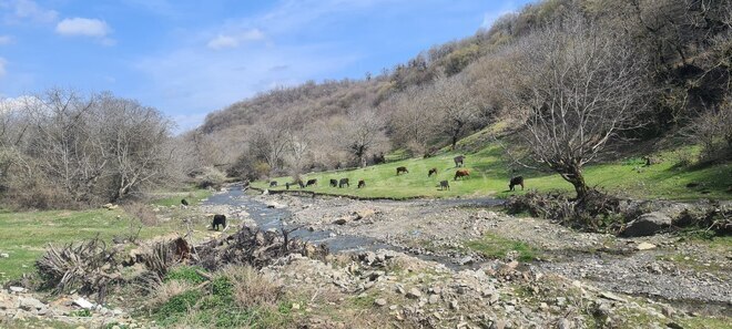 Satılır  torpaq 4.5 sot, photo 5 from 6