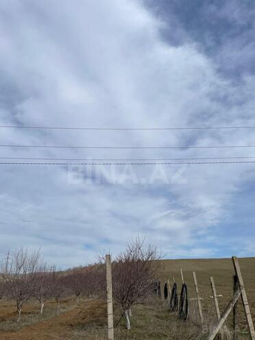 Satılır  torpaq 600 sot, photo 4 from 13