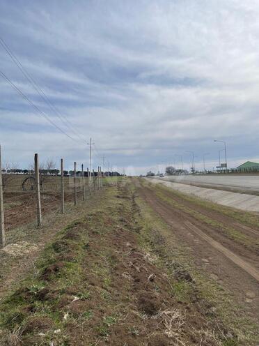 Satılır  torpaq 600 sot, photo 11 from 13