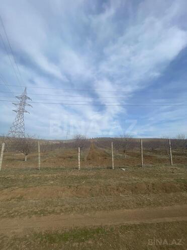 Satılır  torpaq 600 sot, photo 10 from 13