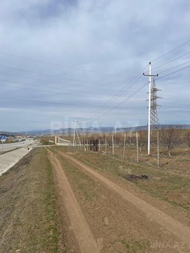 Satılır  torpaq 600 sot, photo 5 from 13