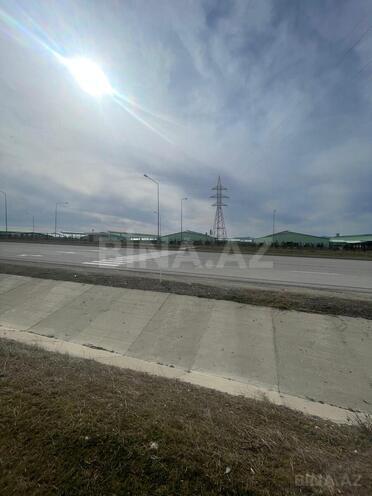 Satılır  torpaq 600 sot, photo 3 from 13