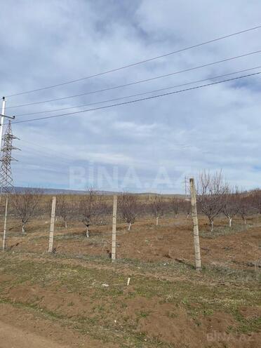 Satılır  torpaq 600 sot, photo 8 from 13