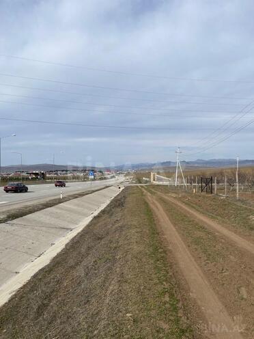 Satılır  torpaq 600 sot, photo 9 from 13