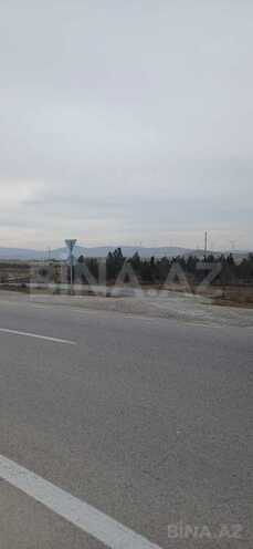 Satılır  torpaq 500 sot, Pirəkəşkül q., photo 3 from 9