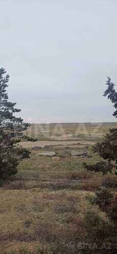 Satılır  torpaq 500 sot, Pirəkəşkül q., photo 8 from 9