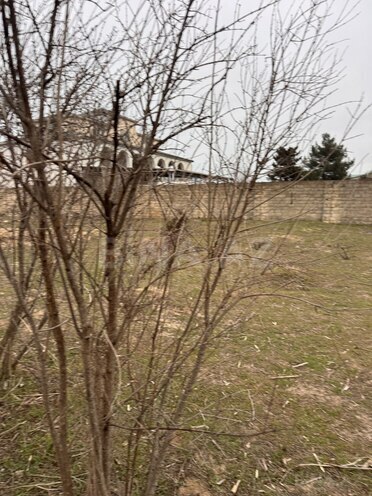 Satılır  torpaq 4.7 sot, Novxanı q., photo 3 from 8