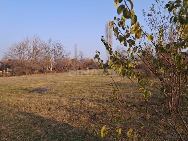 Продаётся  участок 25 сот, photo 5 from 12