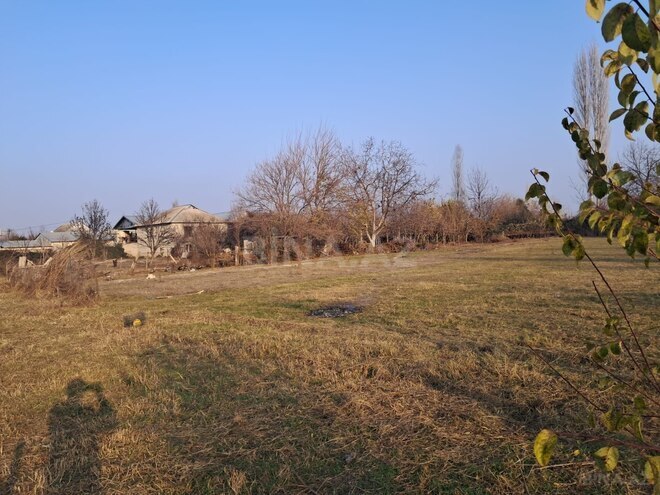 Продаётся  участок 25 сот, photo 4 from 12