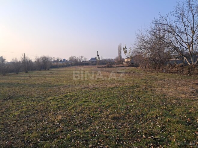 Продаётся  участок 25 сот, photo 9 from 12