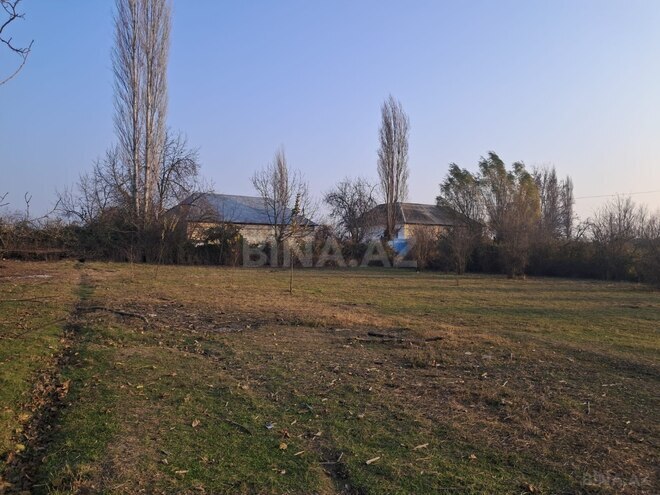 Продаётся  участок 25 сот, photo 10 from 12