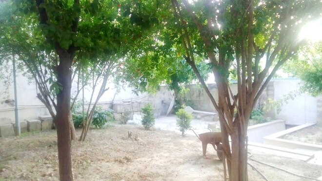 İcarəyə verilir 2 otaqlı həyət evi/bağ evi 75 m², Memar Əcəmi m., photo 6 from 7