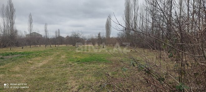 Satılır  torpaq 6 sot, photo 3 from 5