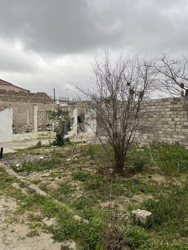 Продаётся  участок 4 сот, пос. Бина, photo 8 from 15