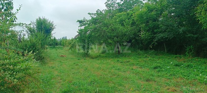 Satılır  torpaq 150 sot, photo 8 from 15