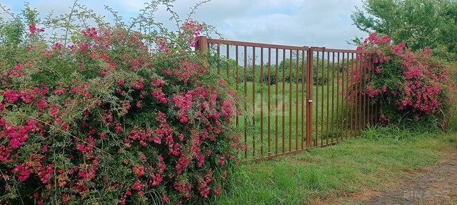 Satılır  torpaq 150 sot, photo 10 from 15