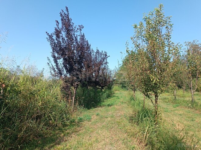 Satılır  torpaq 150 sot, photo 14 from 15