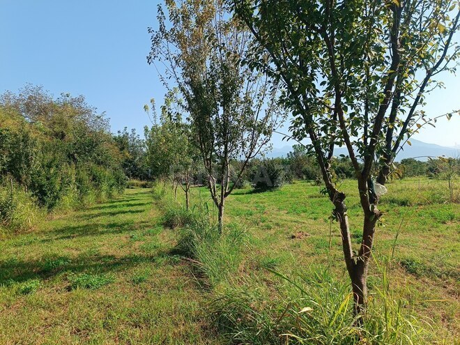 Satılır  torpaq 150 sot, photo 11 from 15