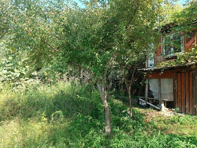 Satılır  torpaq 150 sot, photo 9 from 15