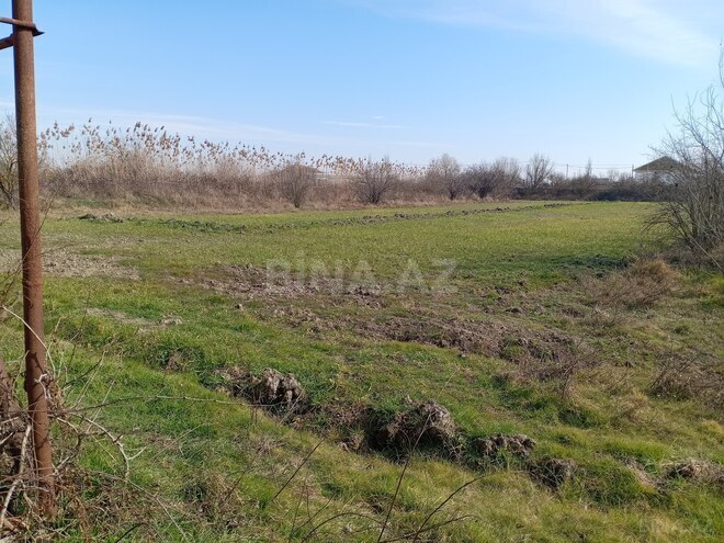 Satılır 3 otaqlı həyət evi/bağ evi 75 m², photo 14 from 15