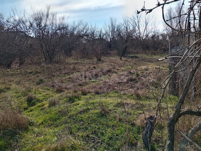 Satılır 3 otaqlı həyət evi/bağ evi 75 m², photo 3 from 15