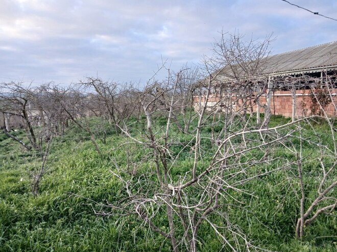 Satılır 6 otaqlı həyət evi/bağ evi 90 m², photo 24 from 26