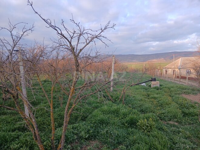 Satılır 6 otaqlı həyət evi/bağ evi 90 m², photo 16 from 26