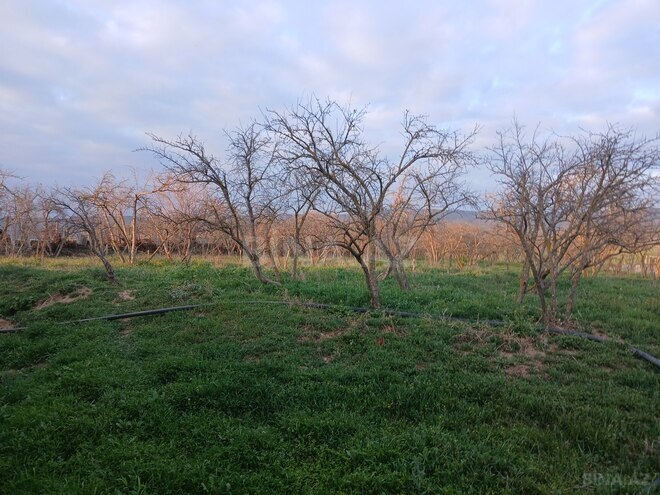 Satılır 6 otaqlı həyət evi/bağ evi 90 m², photo 17 from 26