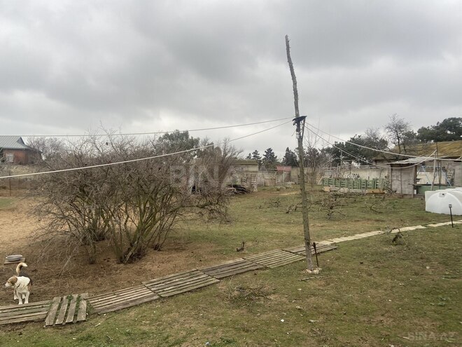 Продаётся  участок 46 сот, пос. Мардакан, photo 5 from 8