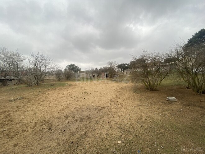 Продаётся  участок 46 сот, пос. Мардакан, photo 4 from 8