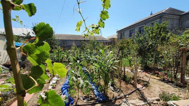 Satılır 4 otaqlı həyət evi/bağ evi 132 m², Yeni Ramana q., photo 6 from 22