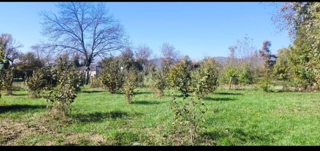 Продаётся  участок 9 сот, photo 3 from 4