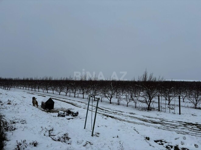 Satılır  torpaq 1 400 sot, photo 11 from 32