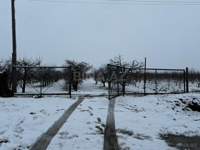 Satılır  torpaq 1 400 sot, photo 16 from 32