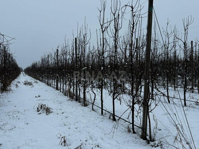 Satılır  torpaq 1 400 sot, photo 6 from 32