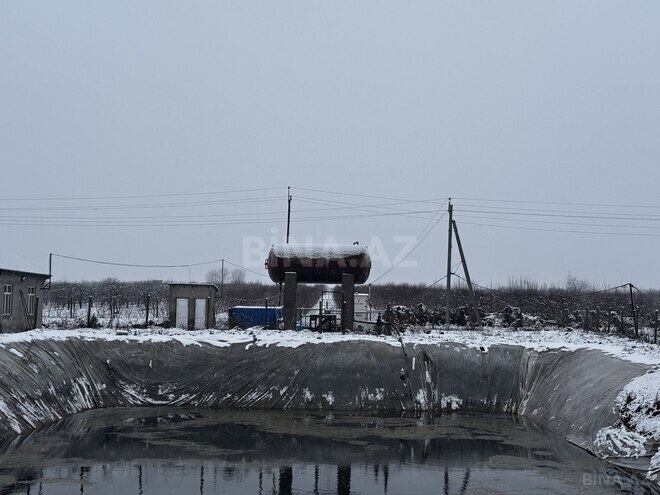 Satılır  torpaq 1 400 sot, photo 31 from 32