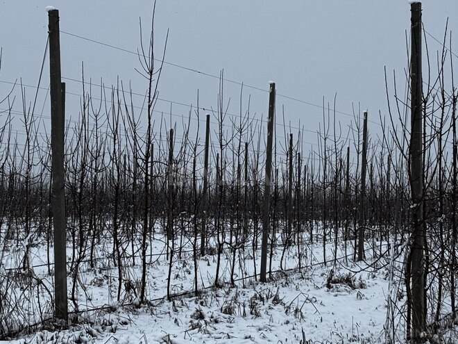 Satılır  torpaq 1 400 sot, photo 21 from 32