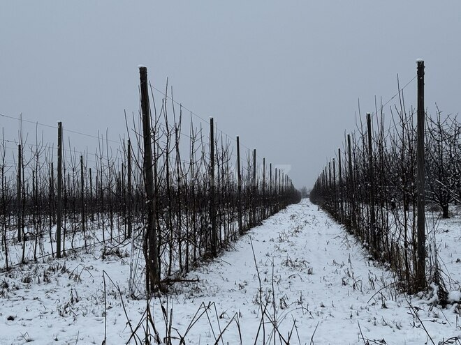 Satılır  torpaq 1 400 sot, photo 22 from 32