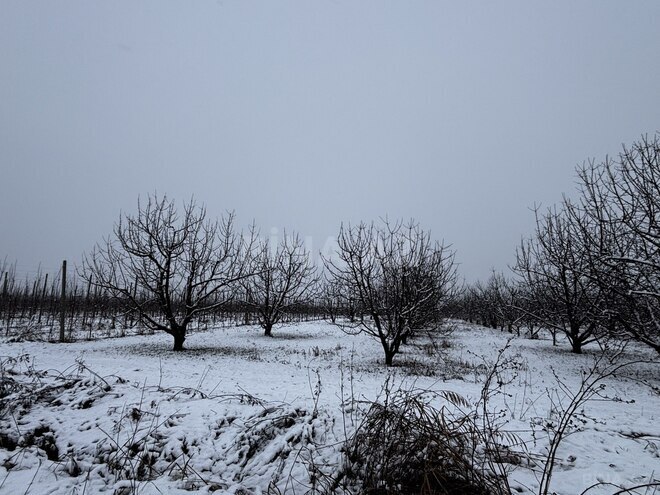 Satılır  torpaq 1 400 sot, photo 24 from 32