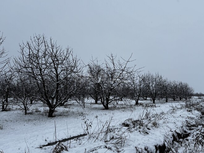 Satılır  torpaq 1 400 sot, photo 25 from 32