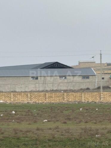 Satılır  torpaq 430 sot, Saray q., photo 3 from 7