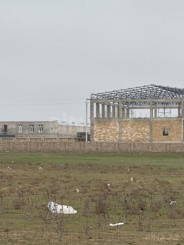 Satılır  torpaq 430 sot, Saray q., photo 4 from 7