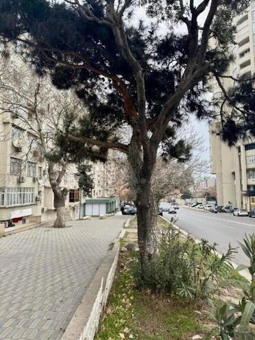 Satılır 2 otaqlı köhnə tikili 60.7 m², Nəsimi r., photo 6 from 24