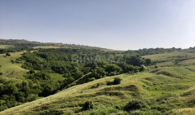 Satılır  torpaq 1 100 sot, photo 4 from 18